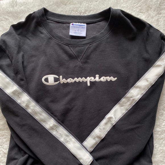 Champion Sweater